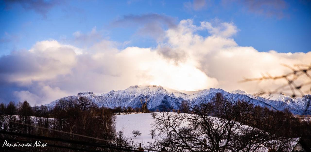 Pensiunea Nisa Bran  Exteriér fotografie